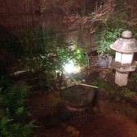 山玄茶 - 