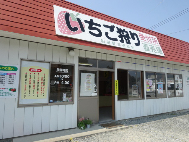 和田観光苺組合 - 相馬（その他）の写真