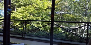 Restaurant Lumiere - The view outside the window is filled with greenery.