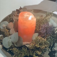 デルフィーナ - 