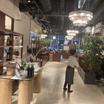 LIBERA TERRACE - 