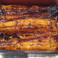 うなぎ 海雲 - 特上うな重