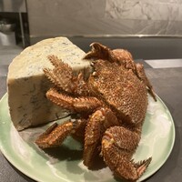 TOSAGE - 