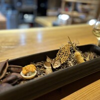 IHARA - 