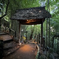 九つ井 本店 - 