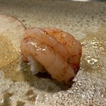 江戸富士 - 海老