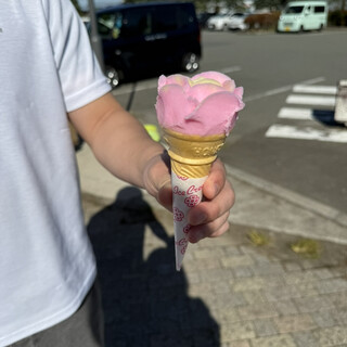 道の駅 しょうわ_1