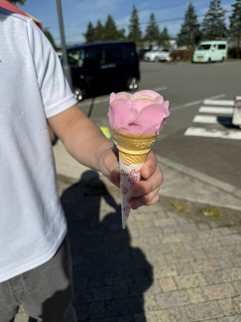 道の駅 しょうわ（ブルーメッセ あきた） - 大久保（道の駅）の写真