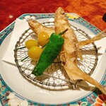 和心庵のら - 