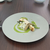 TRATTORIA CREATTA - 
