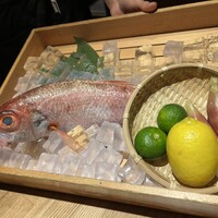 のどぐろ専門 銀座 中俣 - 