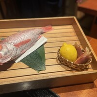 のどぐろ専門 銀座 中俣 - 