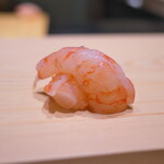 鮨 めい乃 - 本日のボタン海老。プリップリでとても‪大きくて立派(@_@)