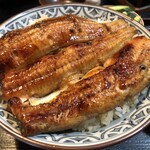 川勢 - 上うな丼・ご飯大盛り(アップ)