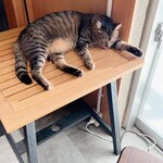 Prost Sausage & Kunsei Bar Okinawa Umikajiterasu Ten - 