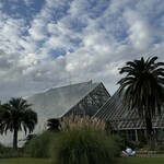 インデアンレストラン  ニューミラ - 食後、何年振りかに隣の植物園を散策^_^