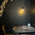 モリネコ コーヒー - 