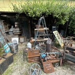 モリネコ コーヒー - 