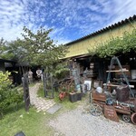 モリネコ コーヒー - 