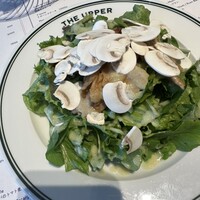 THE UPPER - 
