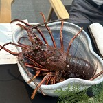 日本料理 TOBIUME - 