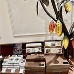 カカオティエゴカン - 