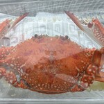 うおいち - テイクアウトのカニ