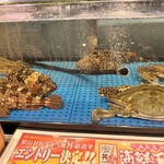 うおいち - カニとアラカブの生簀