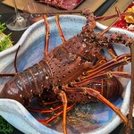日本料理 TOBIUME - ⑭伊勢海老(長崎県五島列島産)
      産卵は初夏～夏、旬は秋～春、海老の王様
      オマール海老の甘みに対して、伊勢海老は滋味ある旨みが特徴
      臭みが出易く、香りを楽しませるには鮮度に加え手当ての繊細さが不可欠