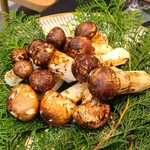 日本料理 TOBIUME - ⑭松茸(山口県産)
      北海道の8月から九州の11月まで日本縦断しつつ収穫期が続く秋を代表する高級茸
      トリュフの華やかで煌びやかな香りに対して、松茸は優雅で上品さのある香りです