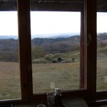 久住高原地ビール村 - 窓から見える外の風景です。牛さんがいます。（真ん中の窓です。）のどかですよね～。