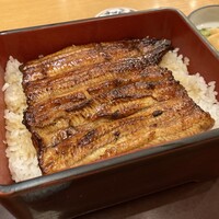 赤坂ふきぬき - 