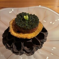 マキノンチ - 