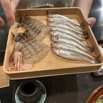 てんぷら 拓 - 今日の具材