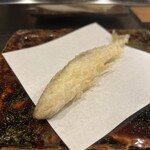 てんぷら 拓 - ししゃも　雌