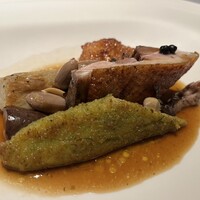 MOTORA  - 