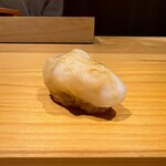 鮨仙八 - アオリイカ