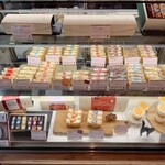 櫟 - ショーケース