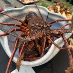 日本料理 TOBIUME - 