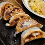 中華居酒屋料理 餃子屋 - 焼き餃子