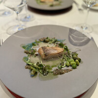 リストランテクロディーノ - 