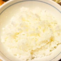 京都ダイニング正義 -  京都ダイニング正義 -