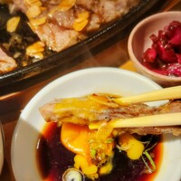 京都ダイニング正義 -  京都ダイニング正義 -