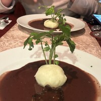 Magnolia - 