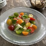 MOKICHI TRATTORIA - 茅ヶ崎産生乳で作った出来立てモッツァレラチーズのカブレーゼ