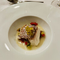 THE KOBECRUISE コンチェルト - 
