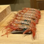 鮨 十兵衛 - 赤海老