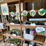 古民家カフェ imoca - 多肉植物