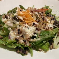 Jose Luis - 彩り野菜とキヌアのサラダ 根セロリとレモンのドレッシング
