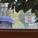 松乃家 - 平塚線の街路樹も色付いて来たらしい